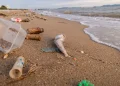 Casi el 80 % de los residuos en las playas son plásticos