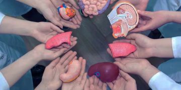 Una persona que dona sus órganos puede salvar hasta siete vidas