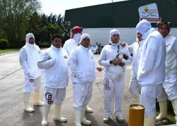 El mayor frigorífico avícola de la Argentina quedó al borde del cierre por la importación de pollo brasileño