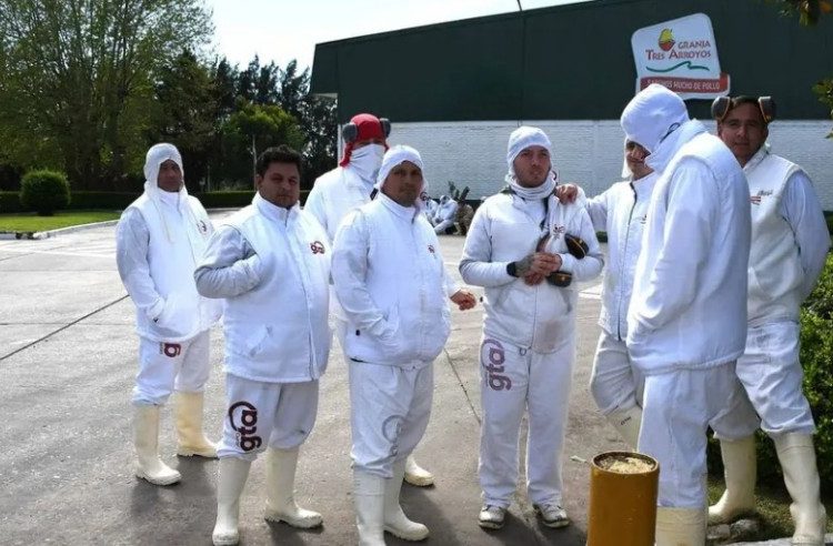 El mayor frigorífico avícola de la Argentina quedó al borde del cierre por la importación de pollo brasileño