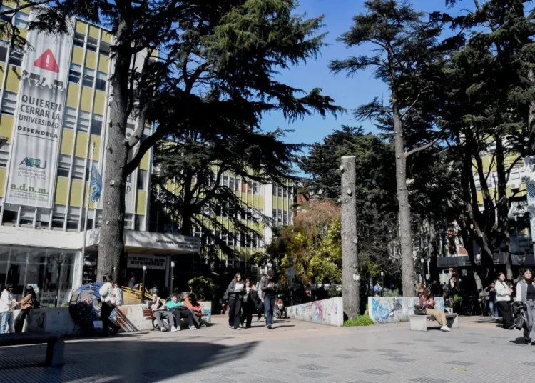 Más de 26 mil personas se anotaron en la UNMDP para empezar a estudiar en 2026