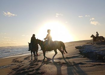 Tras el súper feriado de carnaval ¿cuál será el próximo fin de semana largo de 2026?