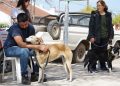 El Quirófano Móvil atenderá en Obras Sanitarias durante marzo
