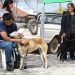 El Quirófano Móvil atenderá en Obras Sanitarias durante marzo