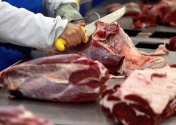 El consumo de carne se desploma y marca el peor nivel en dos décadas