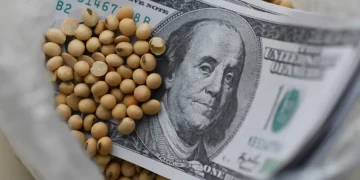 Estiman cosecha y exportación récord del agro pero con similar ingreso de dólares