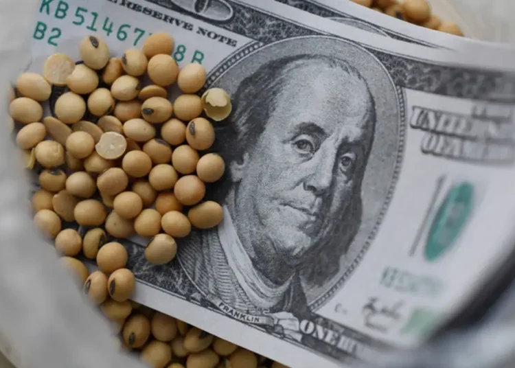 Estiman cosecha y exportación récord del agro pero con similar ingreso de dólares