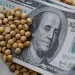 Estiman cosecha y exportación récord del agro pero con similar ingreso de dólares
