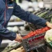 La Justicia frenó artículos clave de la reforma laboral y respalda convenios de Comercio
