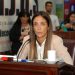 El Concejo reclamó conocer qué pasó el viernes 13 de marzo con el extenso corte de energía eléctrica
