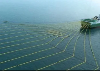 Exploración petrolera: Shell y Qatar Petroleum completaron su retiro de la Cuenta Argentina Norte