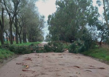 Conceptos de Jorge Martínez y Augusto Fulton: “El temporal dejó complicaciones en toda la ciudad y aún queda una semana de intenso trabajo”