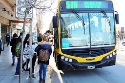Necochea y los micros, entre la necesidad, el deterioro y la incertidumbre