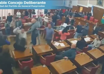 Violencia en el Concejo de Mar del Plata: incidentes, golpes de puño e insultos durante el debate por las aplicaciones de transporte