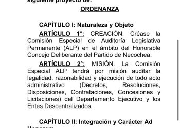 Control sí, pero no una auditoría paralela dentro del Concejo