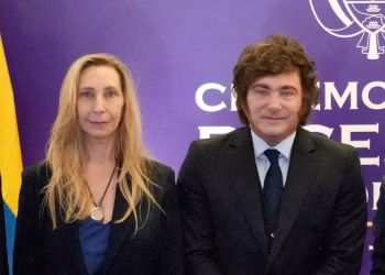 Los límites del programa de Milei