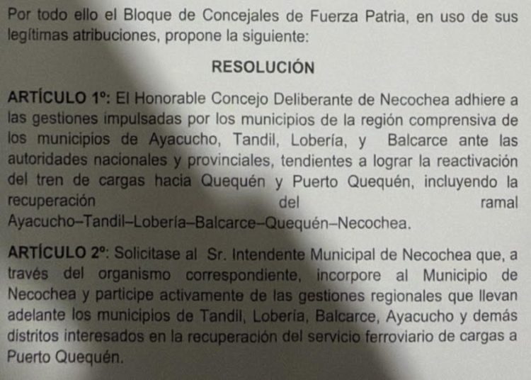 Temporada de resoluciones en el Concejo de Necochea