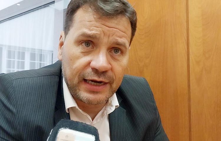 El Colegio de Abogados defendió el reemplazo de árboles y aseguró que contó con todas las autorizaciones municipales