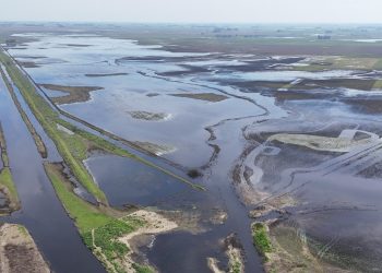 La Provincia declaró la emergencia agropecuaria en sectores de Necochea