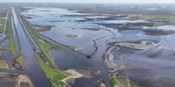 La Provincia declaró la emergencia agropecuaria en sectores de Necochea