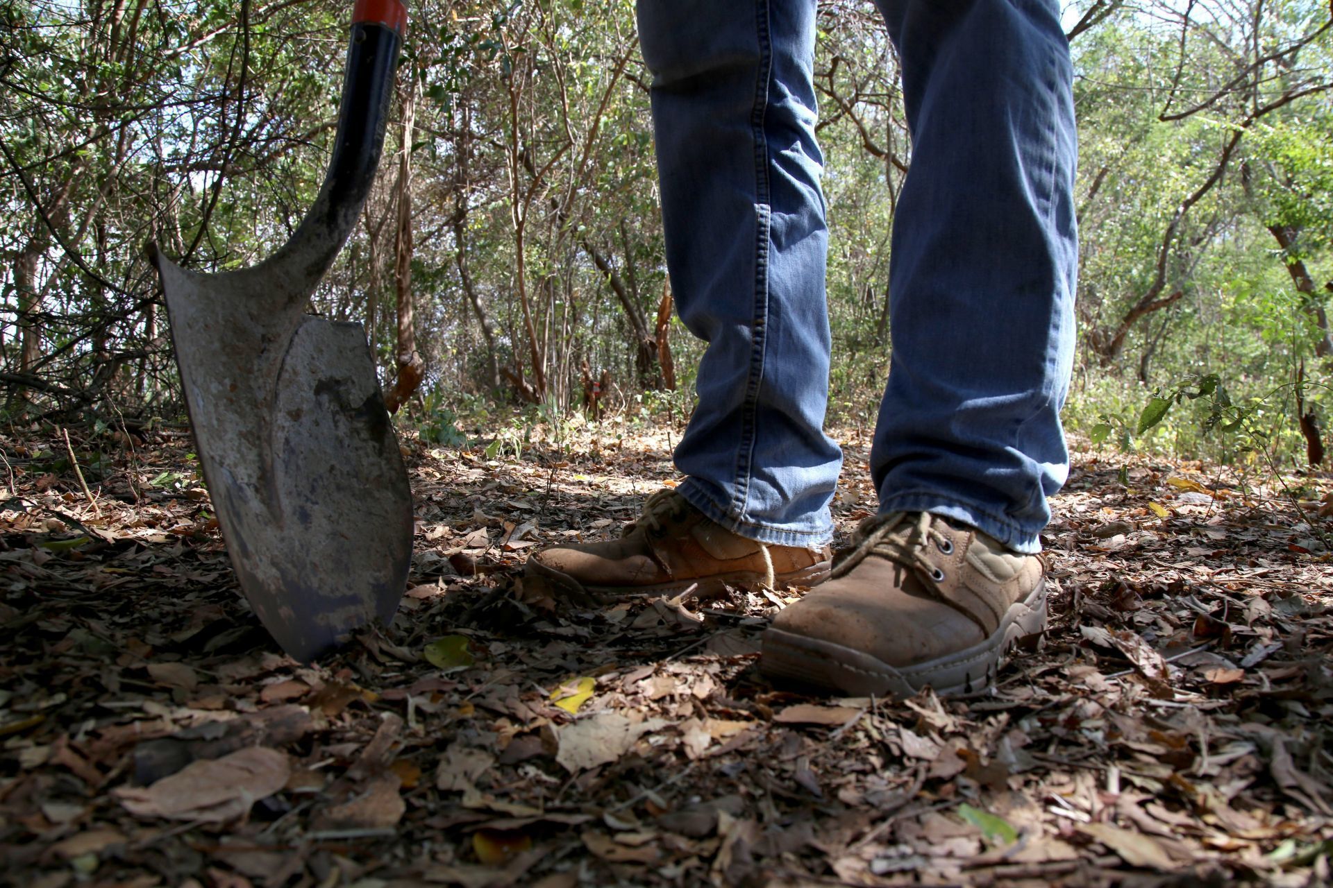 Restos humanos fueron hallados en fosas clandestinas de la zona aguacatera de Michoacán